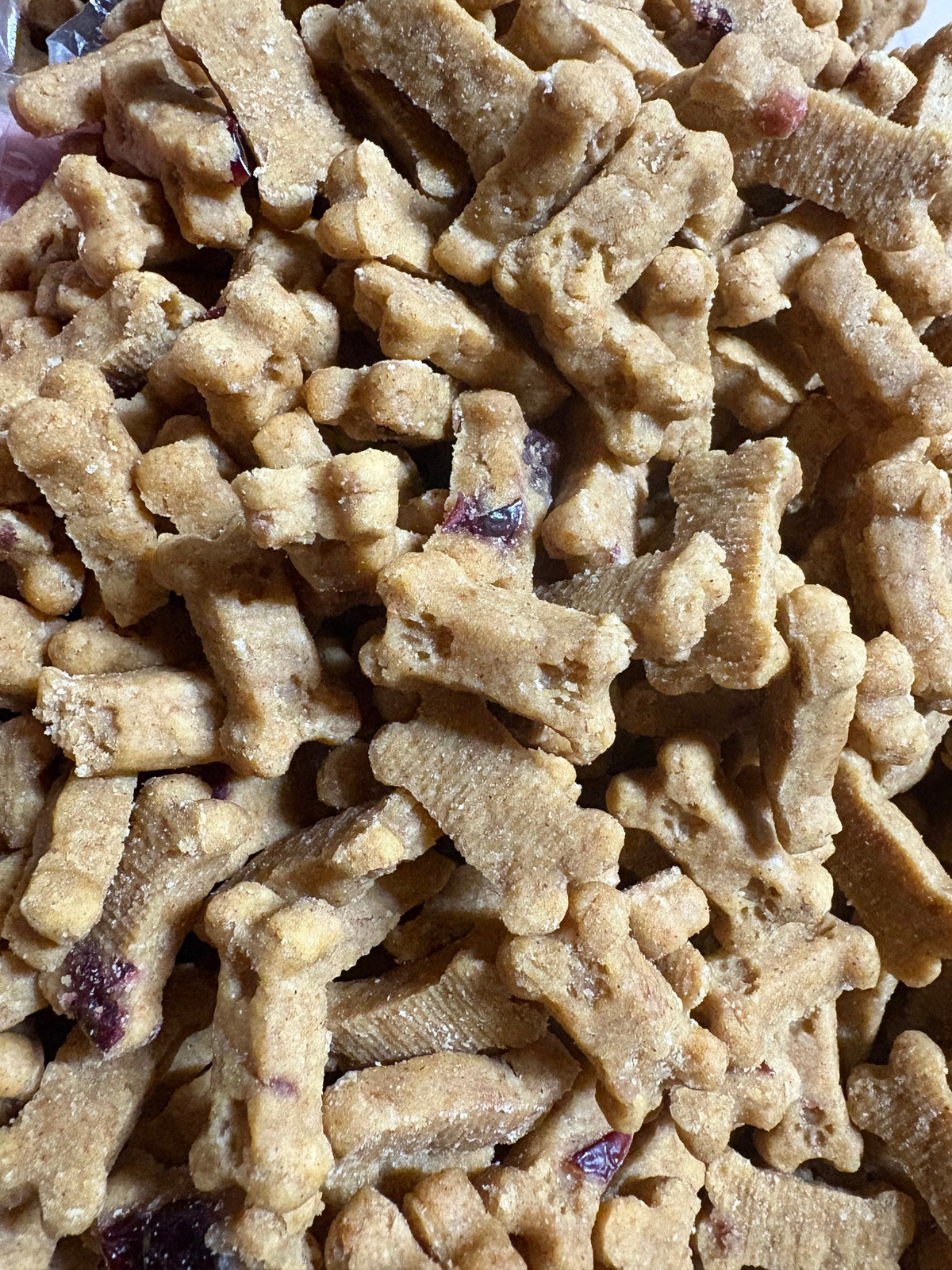 Pumpkin & Cranberry Soft Dog Treats | Wholesale Bulk Dog Treats | Made in USA